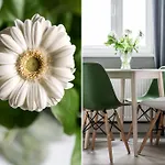 Sanhaus - Chopina 13 - W Centrum, 5 Minut Od Plazy I Deptaka * Sopot