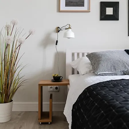 Sanhaus - Chopina 13 - W Centrum, 5 Minut Od Plazy I Deptaka Daire *